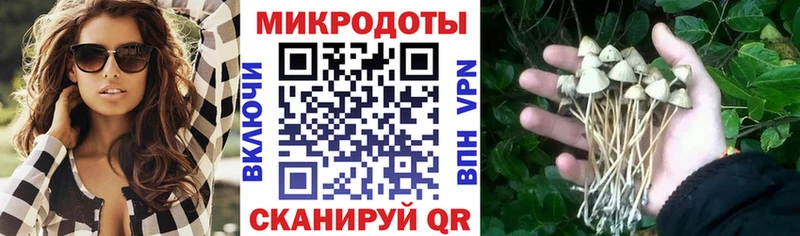 Купить где  Пучеж  Псилоцибиновые грибы мухоморы 